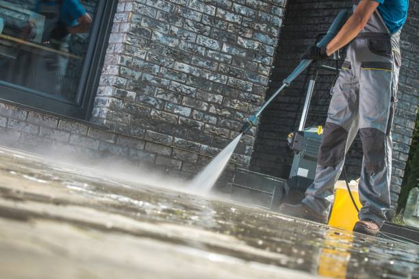 Best Driveway Pressure Washing  in North Lauderdale, FL