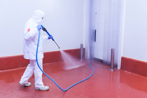 Paint Preparation in North Lauderdale, FL