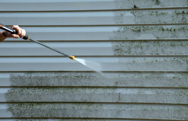 Best Driveway Pressure Washing  in North Lauderdale, FL
